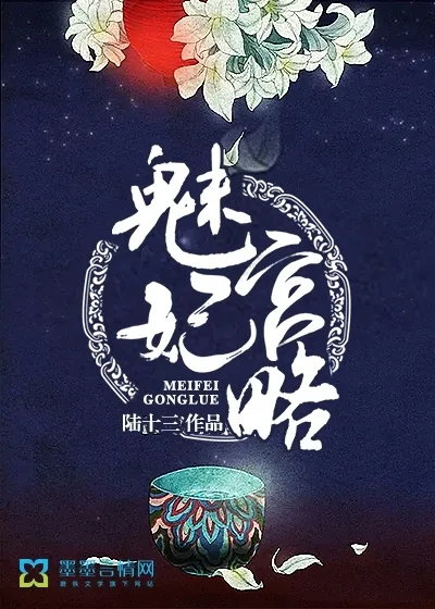 《魅妃宫略》封面