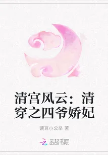 《清宫风云：清穿之四爷娇妃》封面
