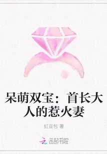 《呆萌双宝：首长大人的惹火妻》封面