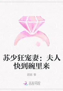 《苏少狂宠妻：夫人快到碗里来》封面