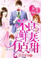《蜜爱100分：不良鲜妻有点甜》封面