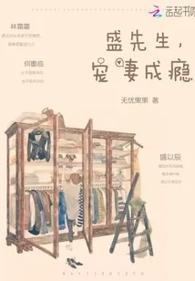 《盛先生，宠妻成瘾》封面