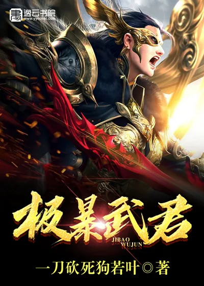 《极暴武君》封面