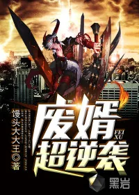《废婿超逆袭》封面