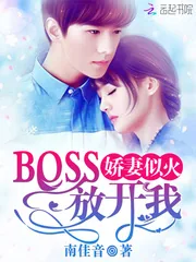 《娇妻似火：BOSS，放开我》小说封面