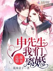 《总裁娇妻：申先生，我们离婚》封面