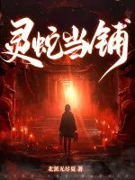《灵蛇当铺》小说封面