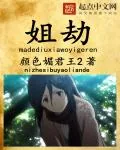 《姐劫》封面