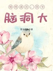 《锦绣清宫：四爷，脑洞大》封面