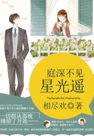 《庭深不见星光遥》封面