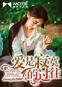 《爱是寂寞的过往》封面