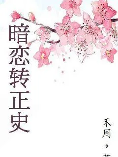 《暗恋转正史》封面