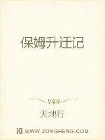 《保姆升迁记》封面