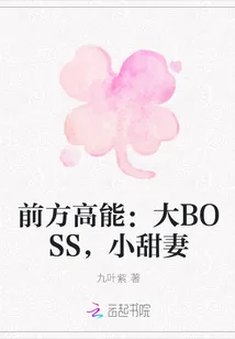 《前方高能：大BOSS，小甜妻》封面