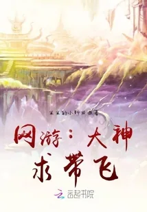 《网游：大神，求带飞》封面