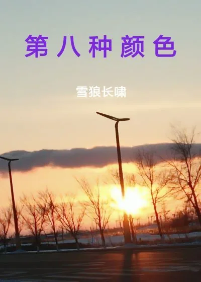 《第八种颜色》封面