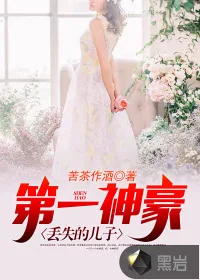 《第一神豪丢失的儿子》封面