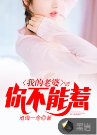 《我的老婆你不能惹》封面
