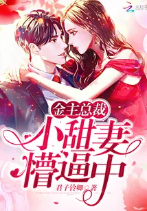《小甜妻，懵比中》封面