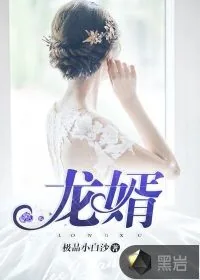 《龙婿》封面