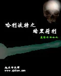 《哈利波特之暗黑荷利》封面