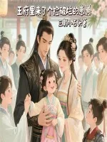 《王府里来了个捡破烂的崽崽》小说封面