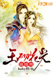 《玉砌花光锦绣明》封面