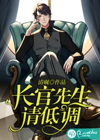 《长官先生，请低调》封面