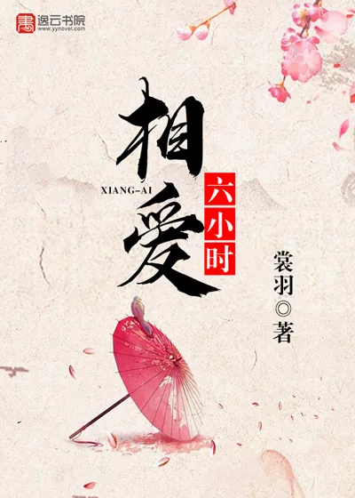 《相爱六小时》封面