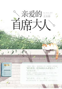 《亲爱的首席大人》小说封面