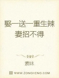 《娶一送一：重生辣妻招不得》封面