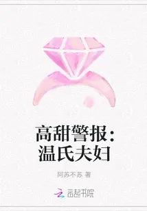 《高甜警报：温氏夫妇》封面