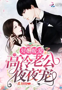 《契婚暖爱：高冷老公，夜夜宠！》封面