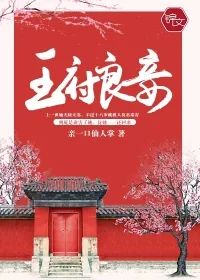 《王府良妾》封面