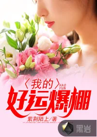 《我的好运爆棚》小说封面