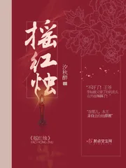 《摇红烛》封面