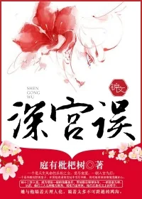 《深宫误》封面