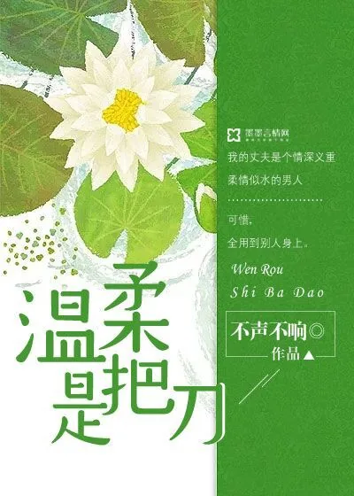 《温柔是把刀》封面