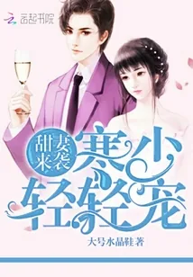 《甜妻来袭：寒少，轻轻宠》封面