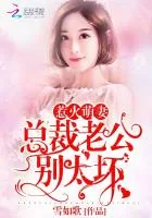 《惹火萌妻：总裁老公，别太坏！》封面