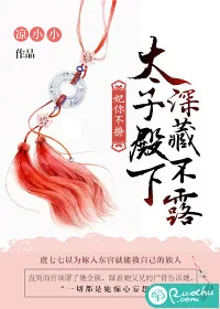 《妃你不撩：太子殿下深藏不露》封面