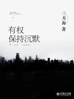 《有权保持沉默》封面