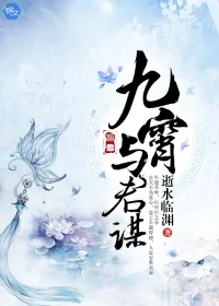 《九霄与君谋》封面