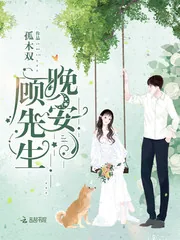 《顾先生，晚安！》封面