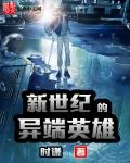 《新世纪的异端英雄》封面