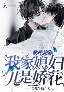 《反派快穿：我家媳妇儿是娇花》封面