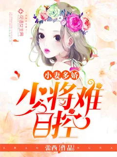 《小妻多娇：少将难自控》封面