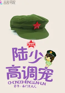 《重生军婚：陆少高调宠》封面
