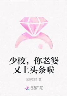 《少校，你老婆又上头条啦》封面