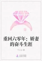 《重回六零年：娇妻的奋斗生涯》封面